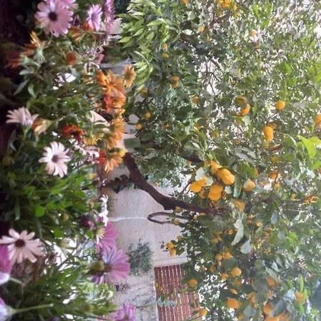 Villa Penthouse Oasis Athens